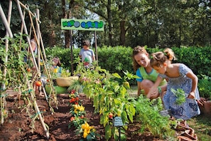 Children’s activities