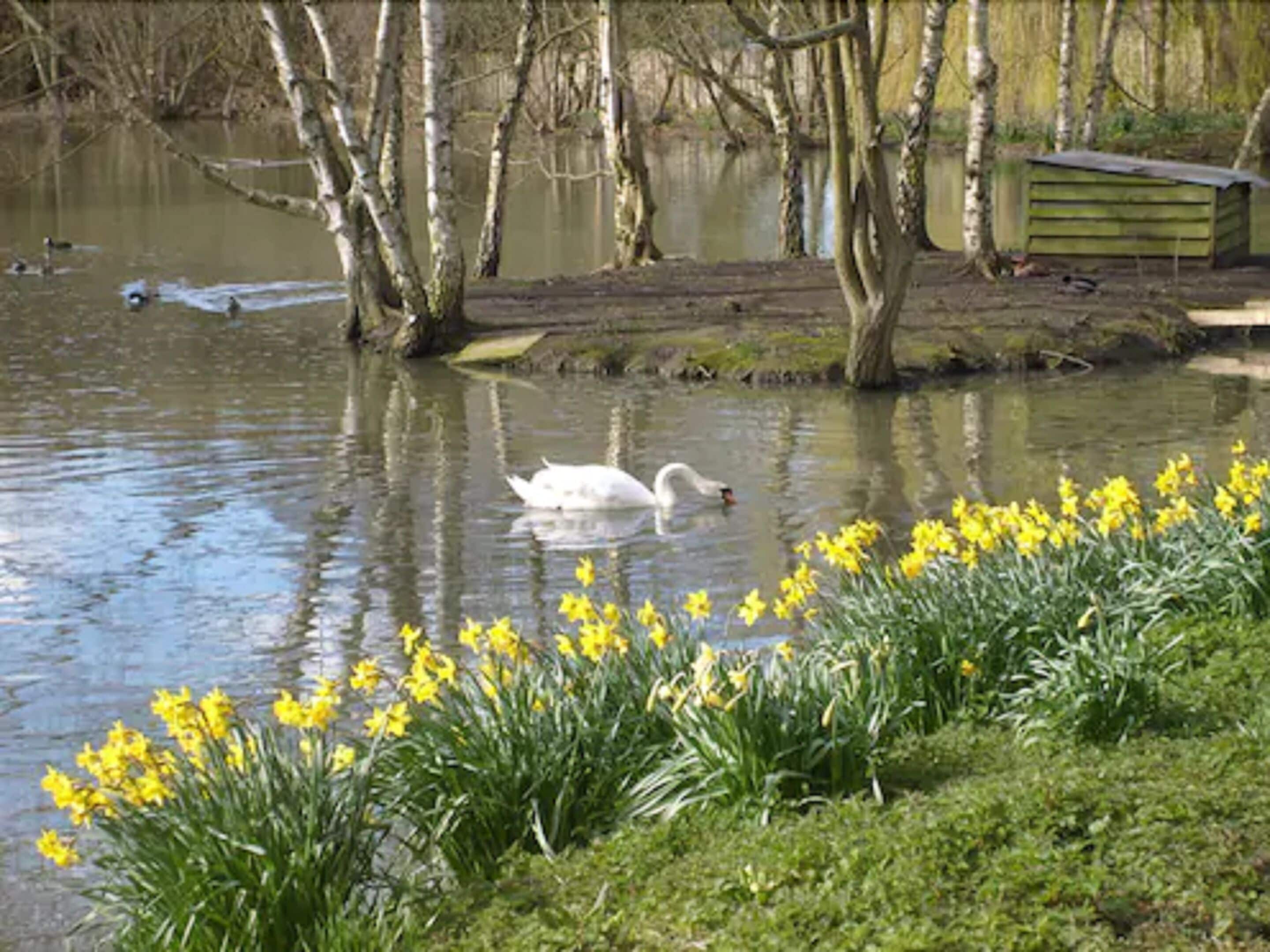 Foto - Great Hallingbury Manor & Lodges London Stansted