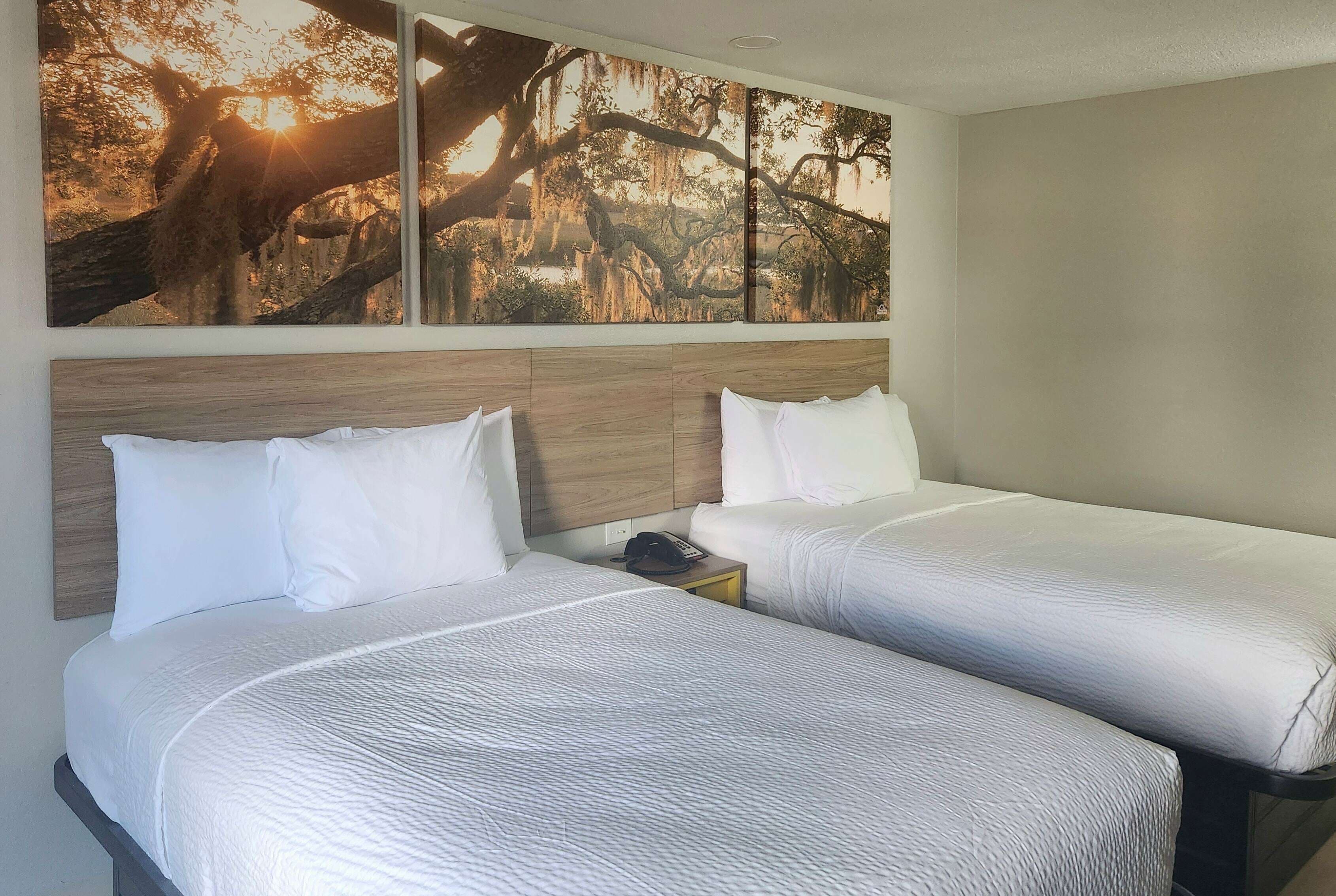 A hotel room with two beds, a wooden headboard, a nightstand with a phone, and a large wall mural of a tree.