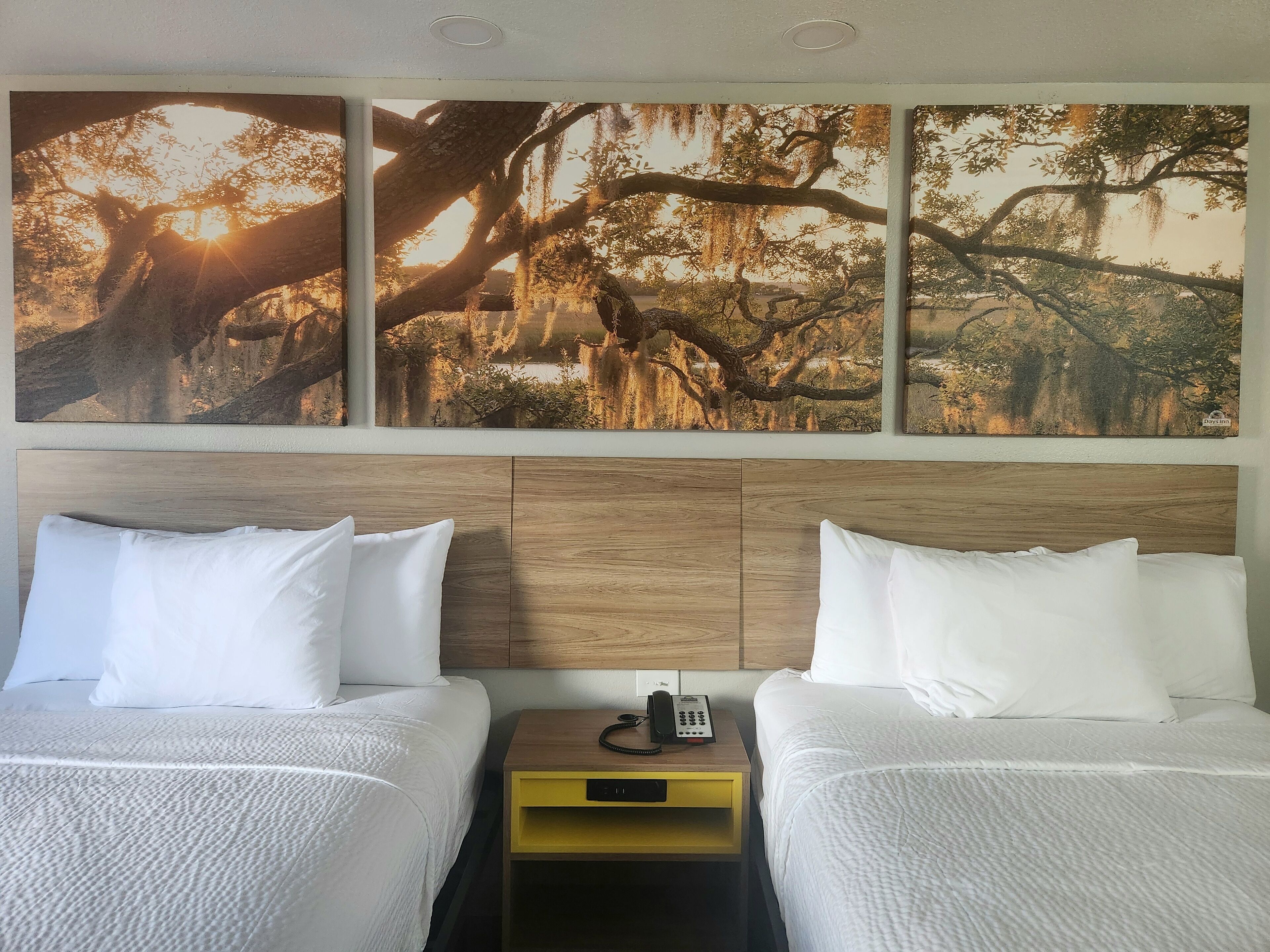 Habitación de hotel con dos camas, un cabecero de madera, una mesita de noche amarilla con un teléfono y un gran mural de un árbol en la pared.