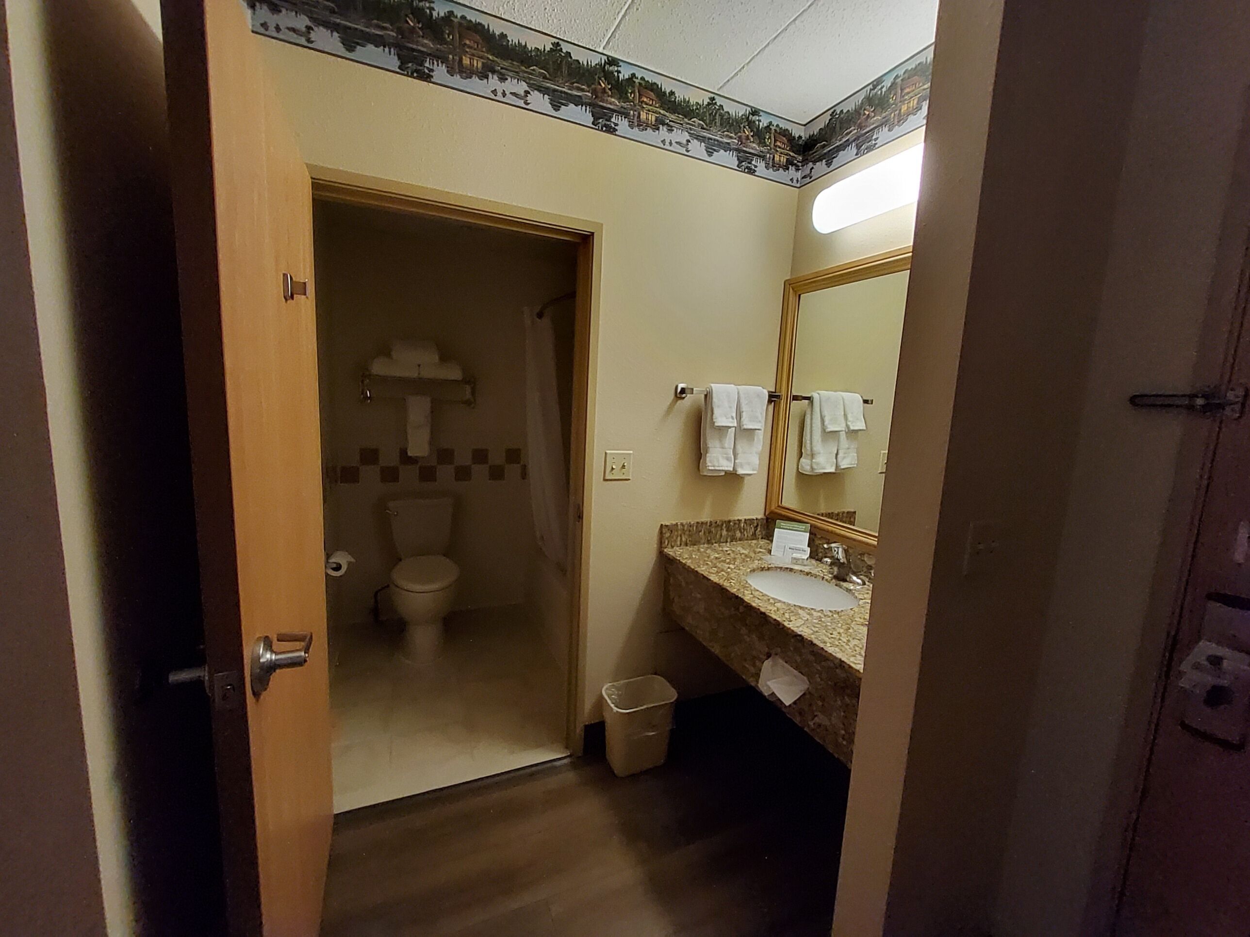 combined shower/bathtub, free toiletries, hair dryer, towels