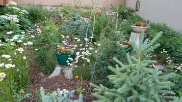 Un jardín con diversas plantas y flores, incluyendo margaritas blancas y una maceta verde con flores naranjas.