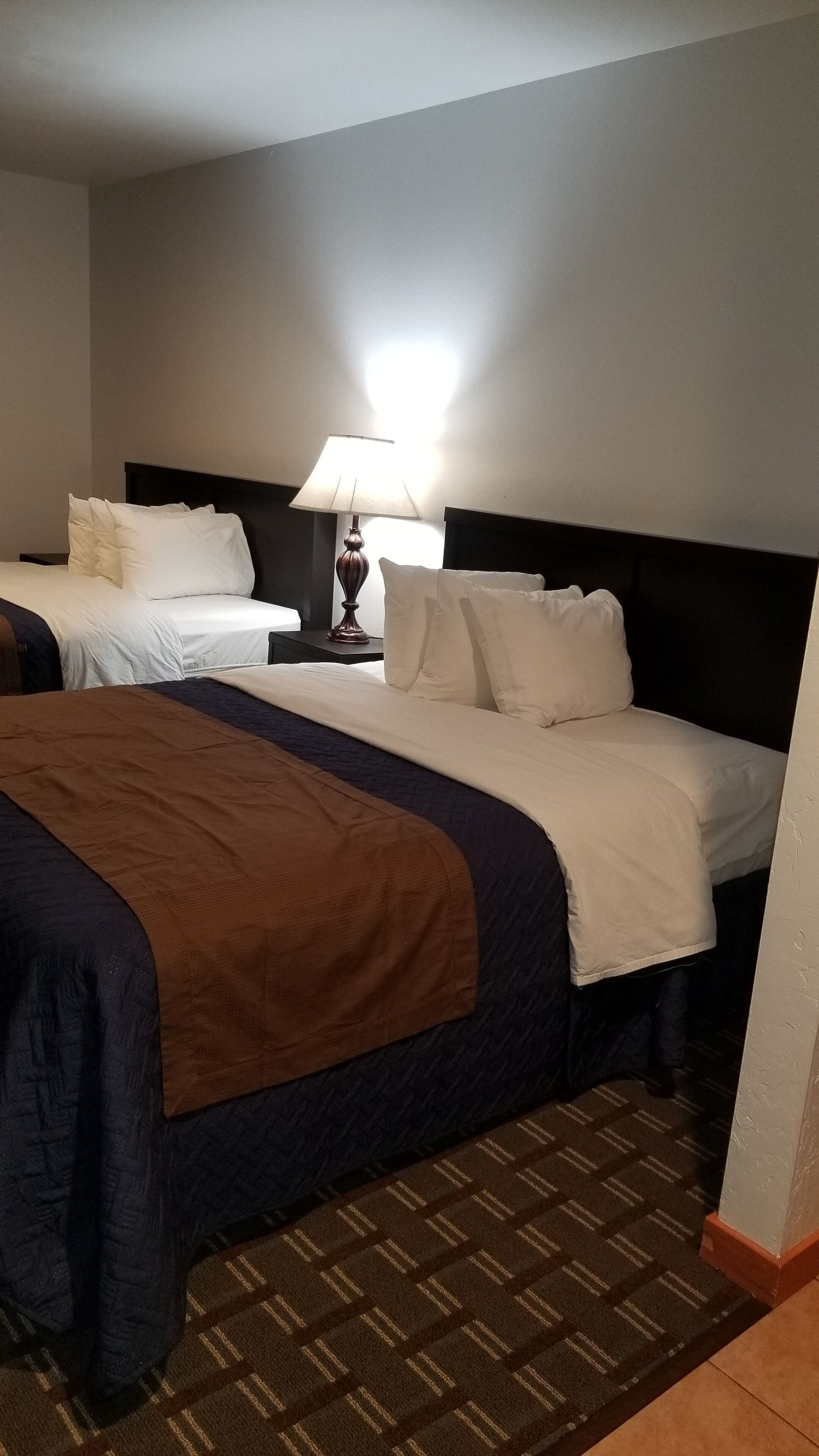 soundproofing, rollaway beds, free wifi, bed sheets