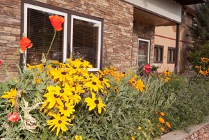 Standard Room, 1 Queen Bed | View from room