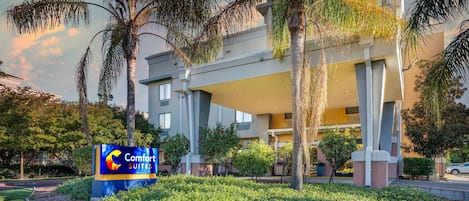 Un hotel con un letrero que dice 'Comfort Suites', rodeado de follaje cuidado y palmeras.