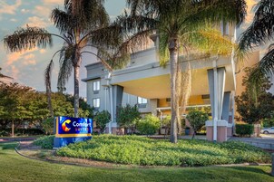 Un hotel con un letrero que dice 'Comfort Suites', rodeado de follaje cuidado y palmeras.