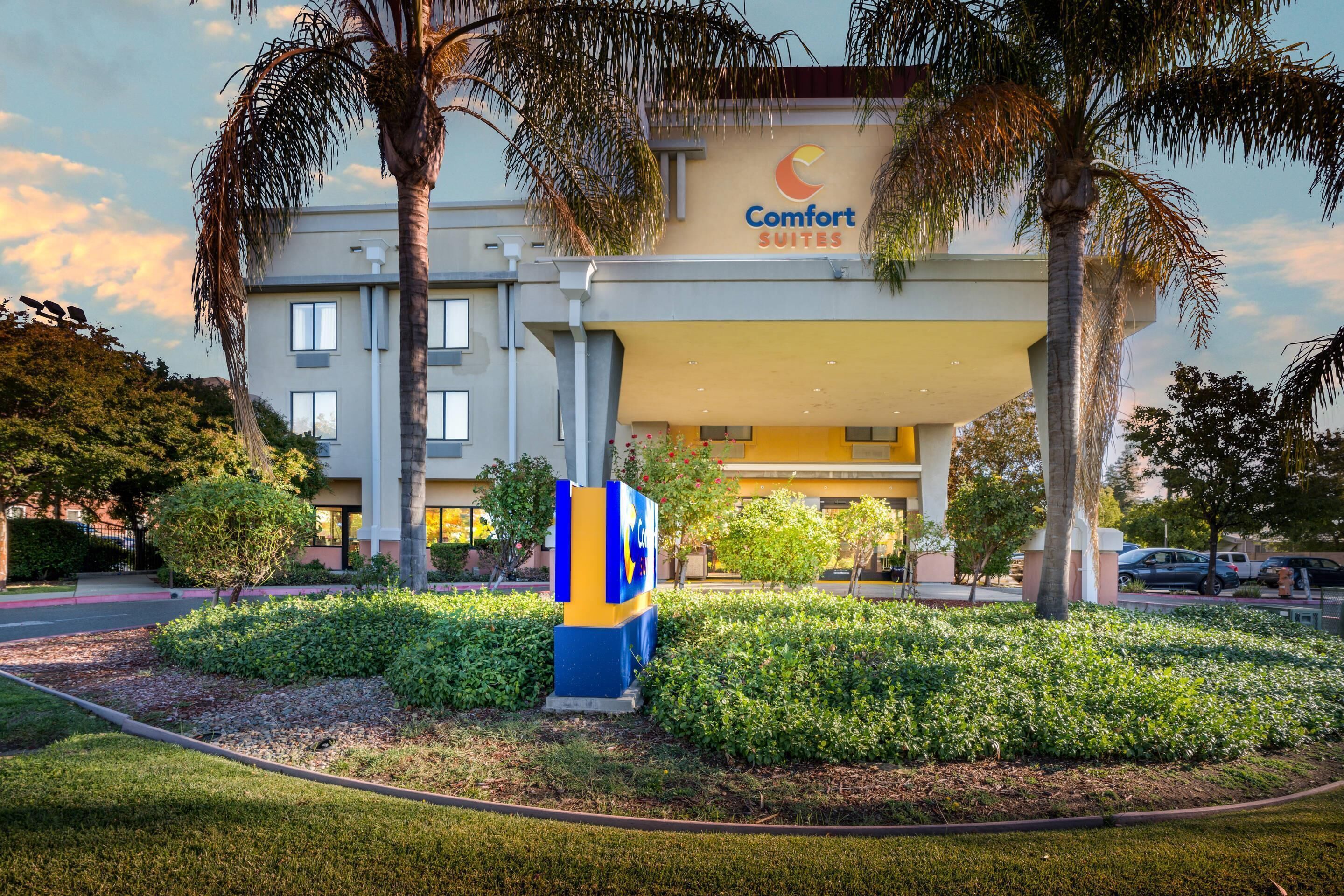 A hotel with a sign reading 'Comfort Suites' and a well-maintained garden with palm trees and shrubs.