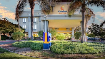 A hotel with a sign reading 'Comfort Suites' and a well-maintained garden with palm trees and shrubs.