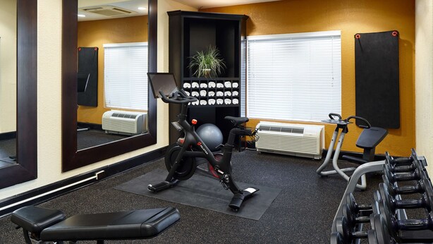 A gym with exercise equipment, a mirror, and a wall-mounted plant. - Hilton Garden Inn Merrillville (Merrillville)