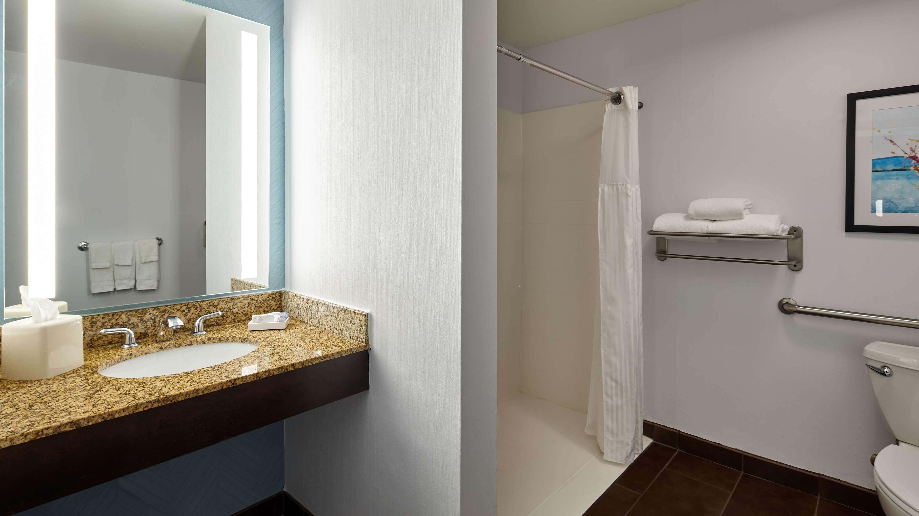 room, 1 king bed, accessible (roll-in shower) | bathroom shower