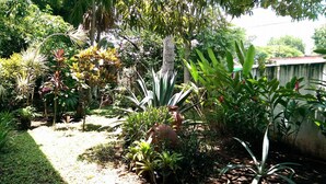 Un exuberante jardín con diversas plantas tropicales y un sendero.