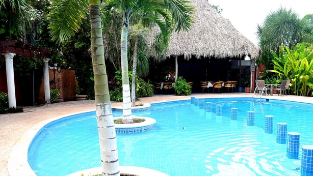 Una piscina con una estructura de techo de paja al fondo, rodeada de palmeras y plantas en macetas.