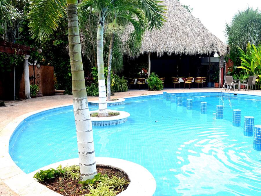 Outdoor pool, sun loungers