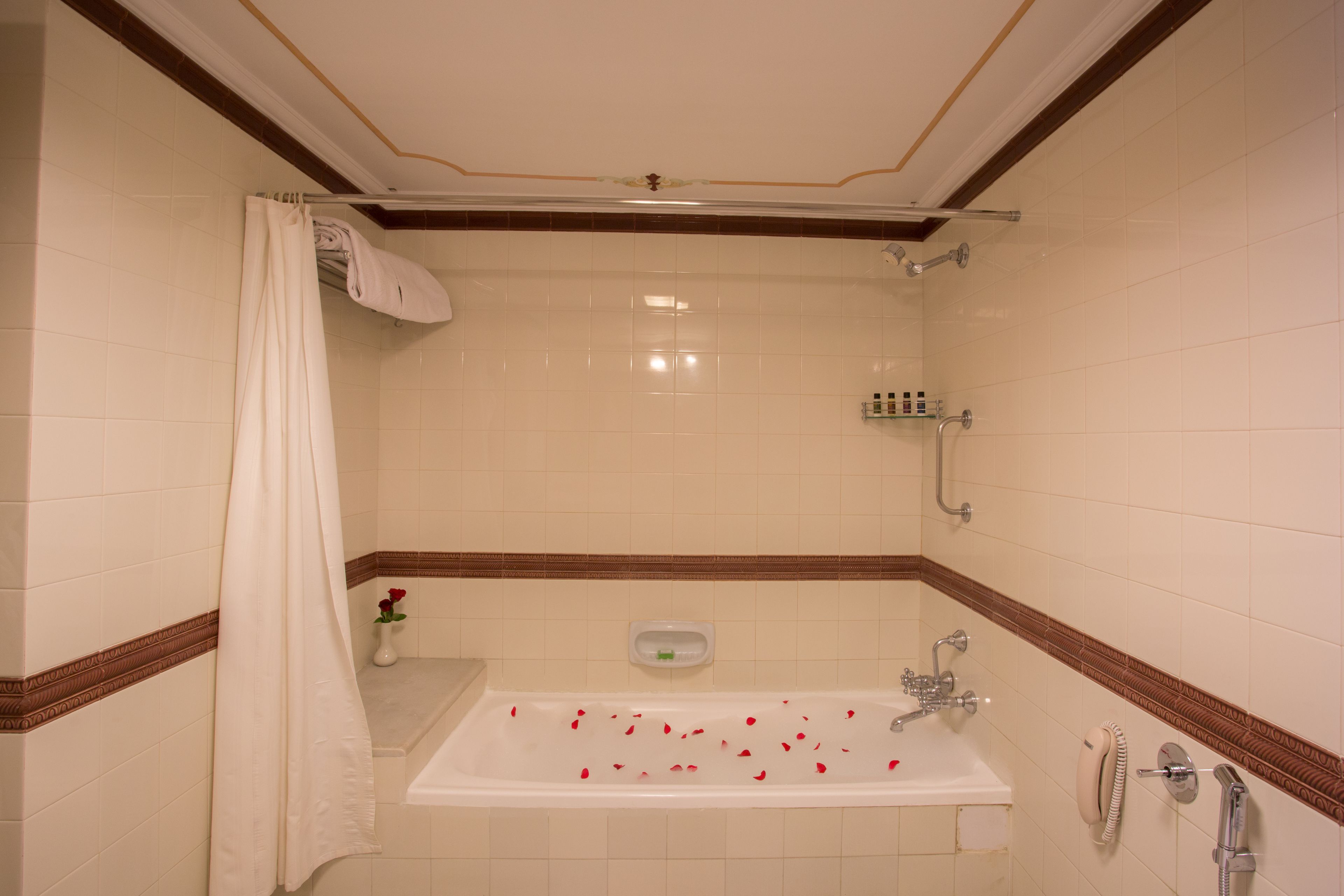 combined shower/bathtub, free toiletries, hair dryer, bathrobes