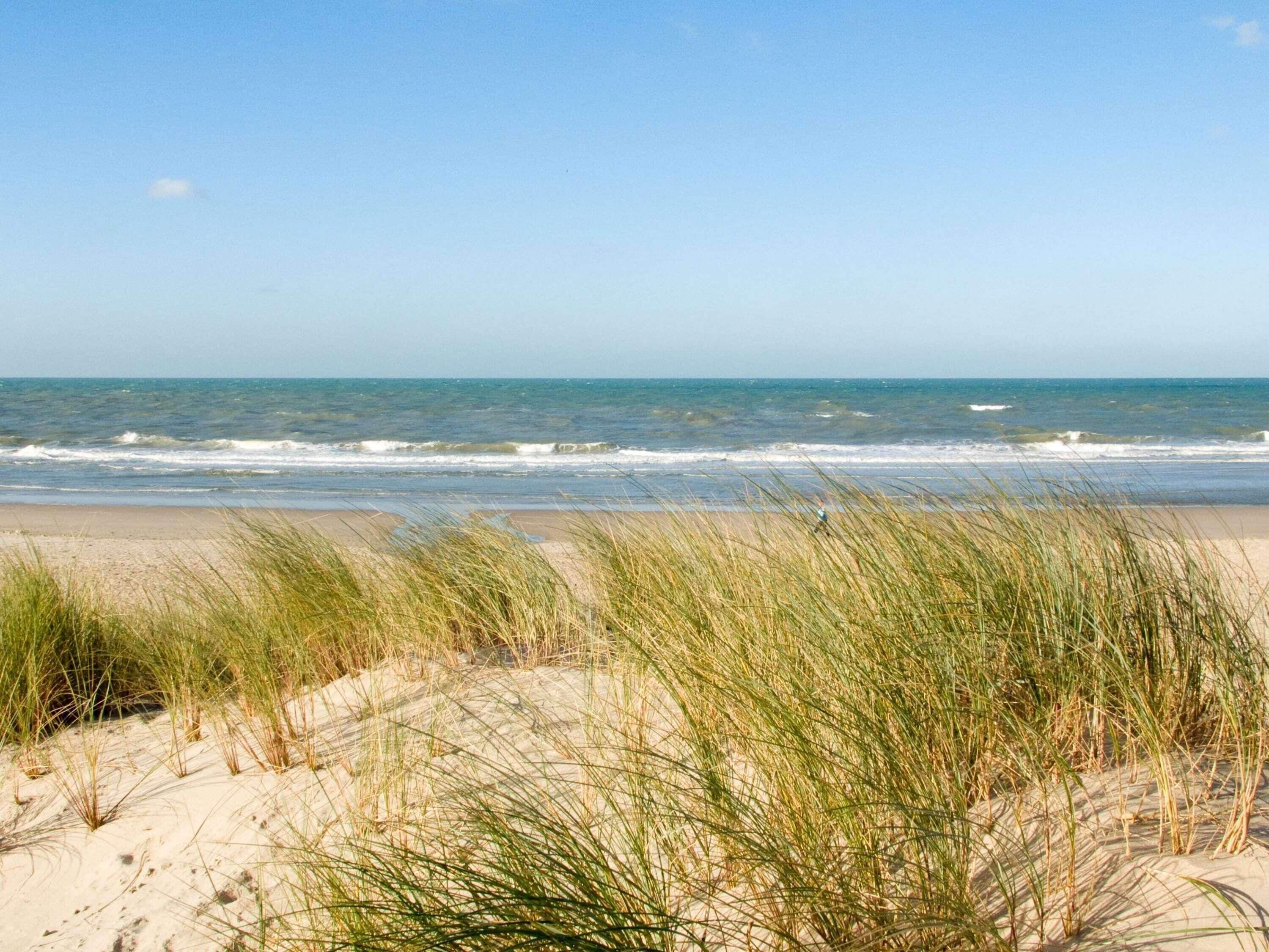 A beach with sand dunes and grass in the foreground, leading to the ocean.
