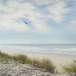 On the beach, white sand