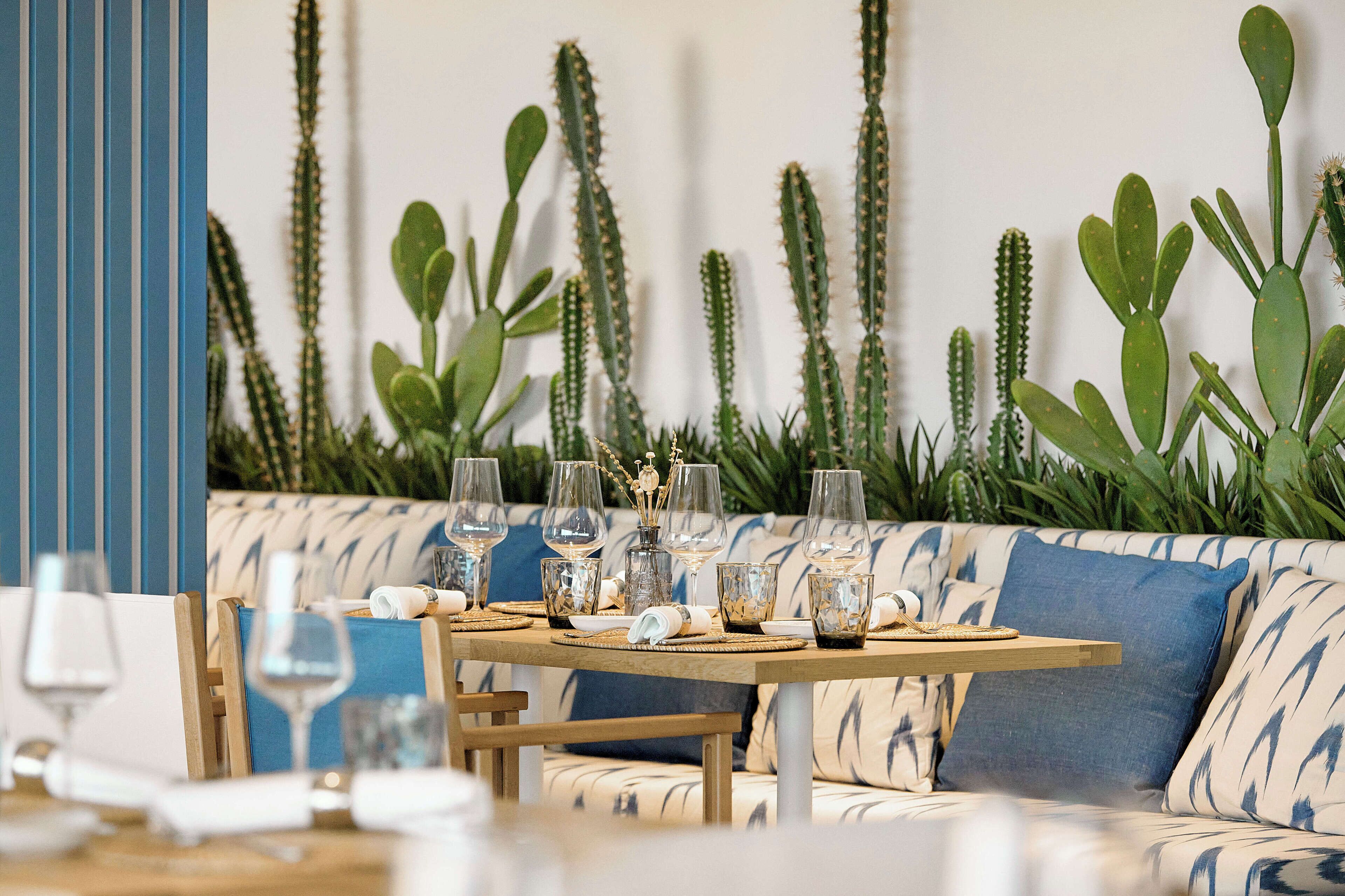 Un comedor con mesa de madera dispuesta para cuatro personas, rodeado por un sofá con cojines azules y blancos, y un fondo de diversos cactus.