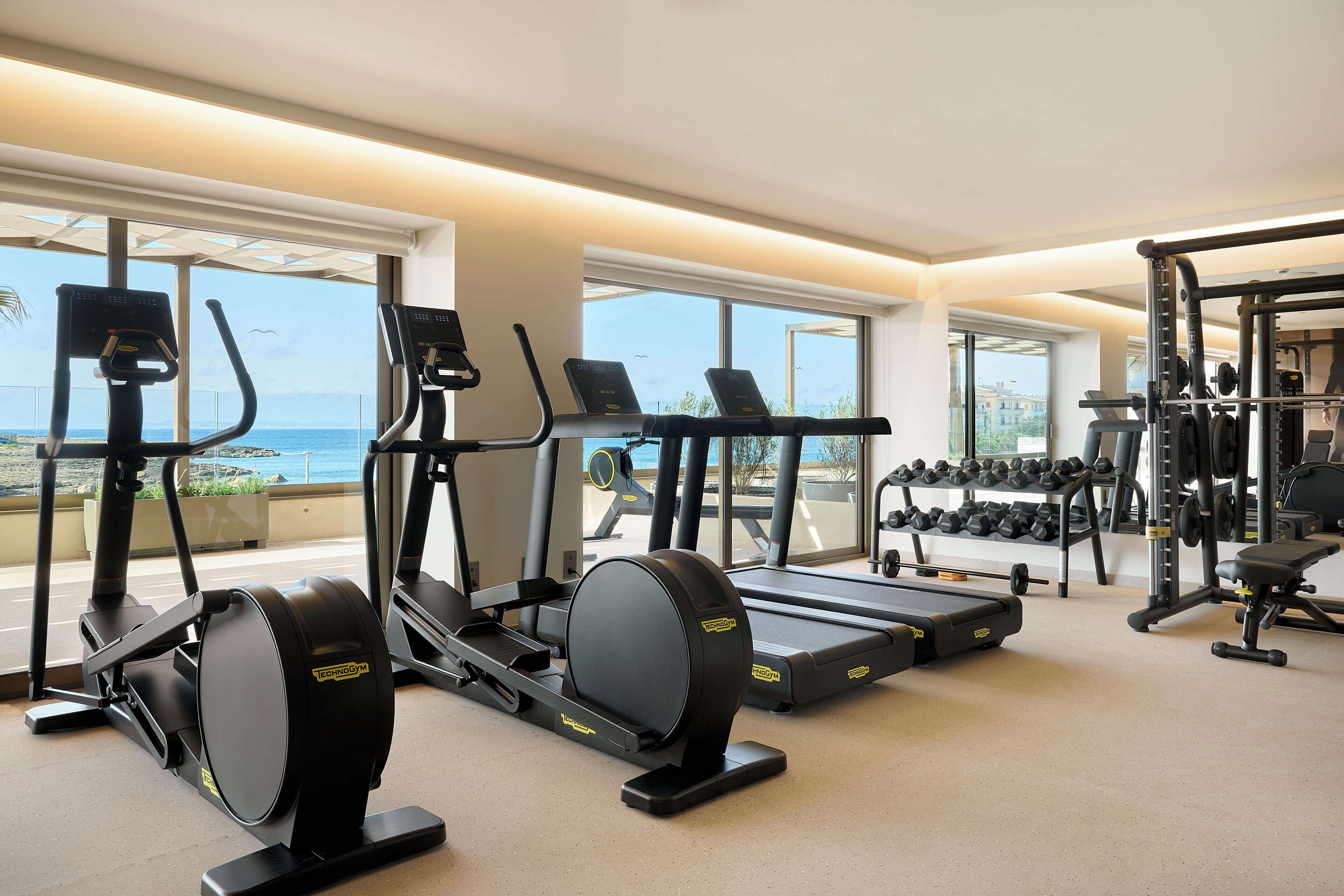 Un gimnasio con máquinas de cardio, equipo de levantamiento de pesas y mancuernas.