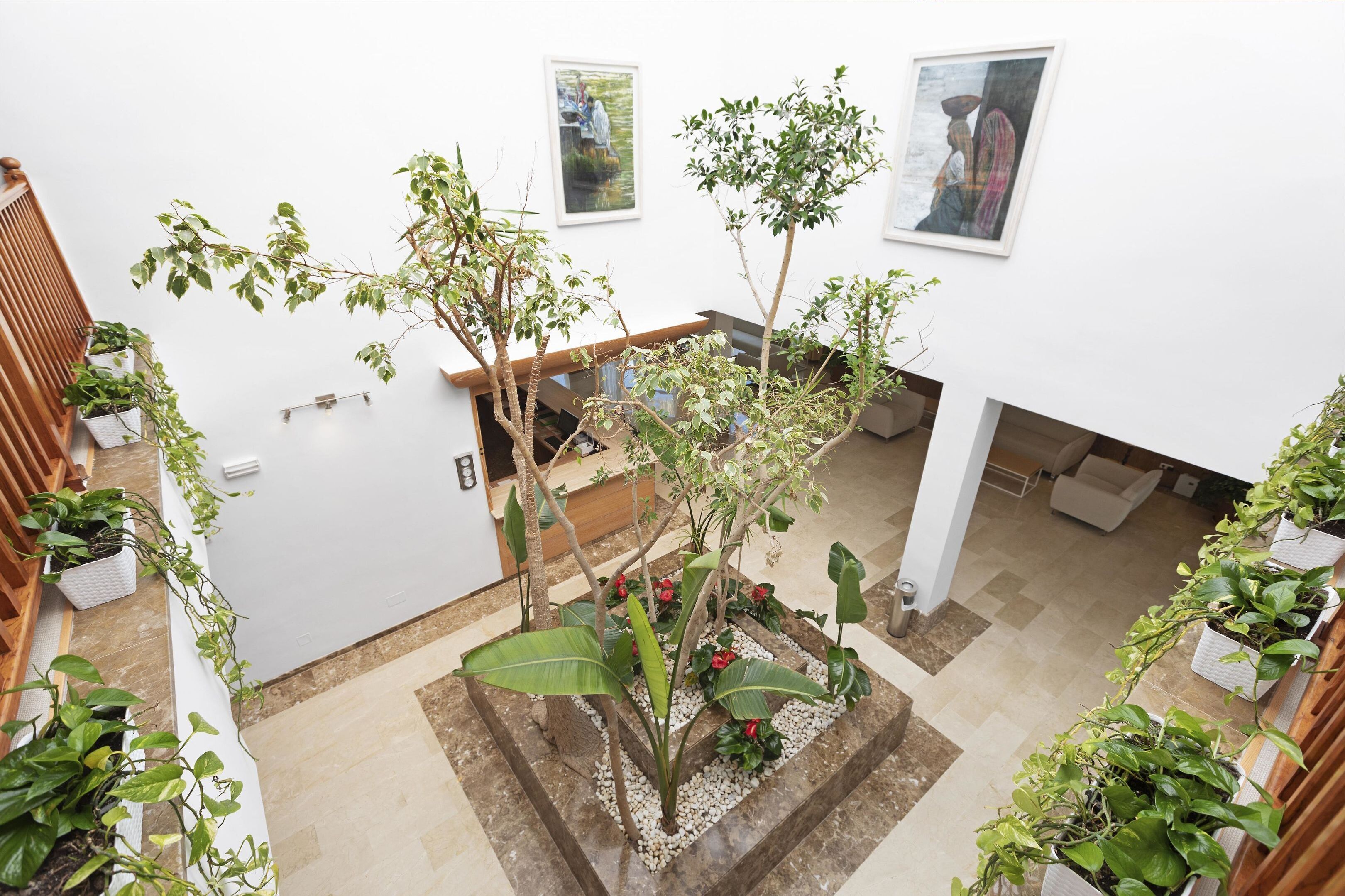 A spacious indoor area with a central plant arrangement, a wooden staircase, and a white wall with framed artwork.