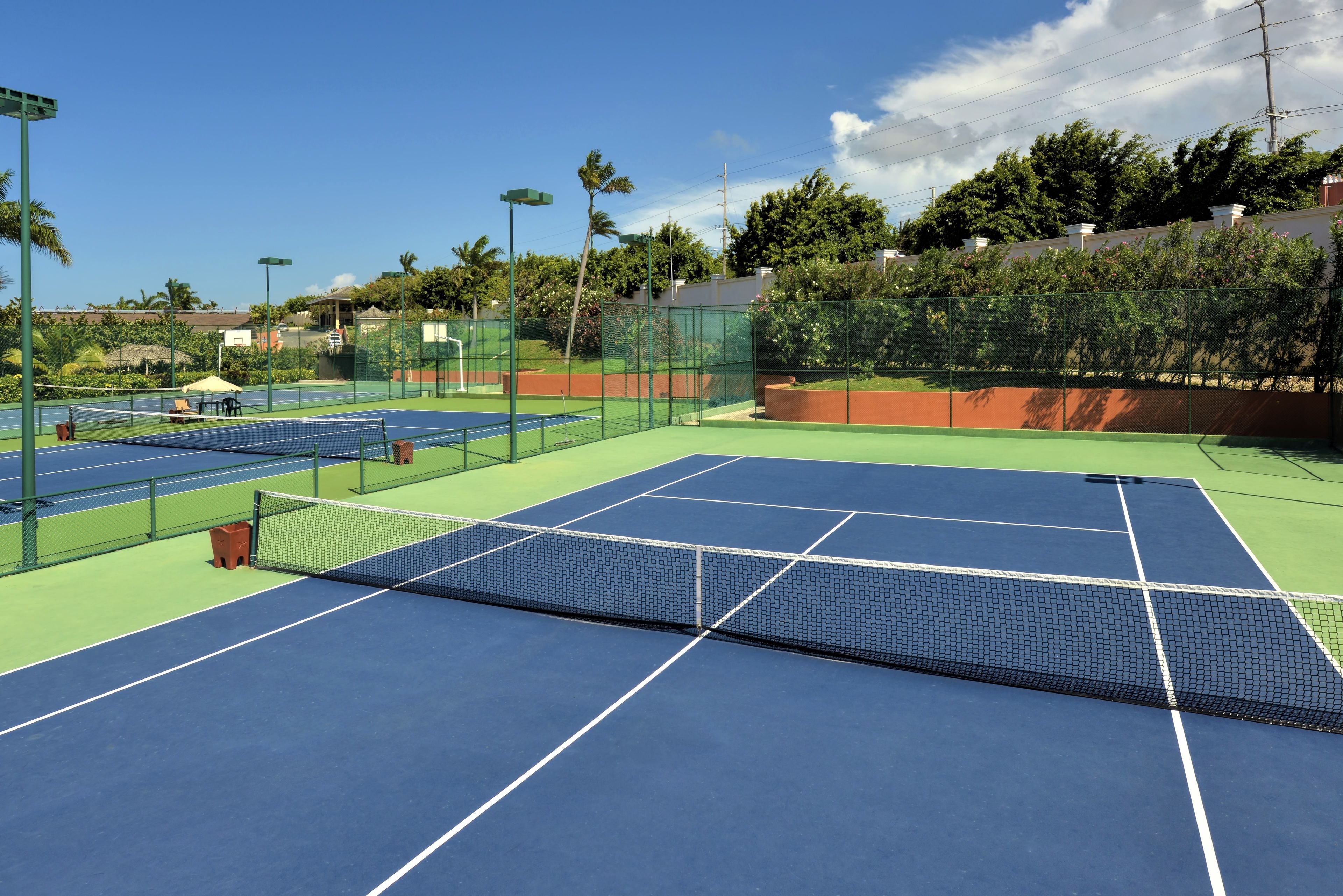 A tennis court with a net, surrounded by a fence and palm trees.