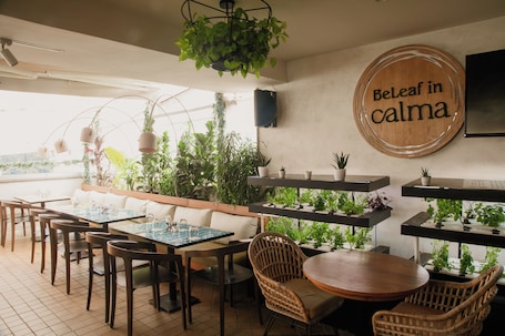 Se sirven desayunos, almuerzos y cenas. The Shalimar Hotel