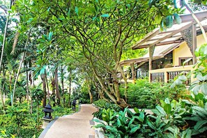 Superior-Bungalow | Terrasse/Patio