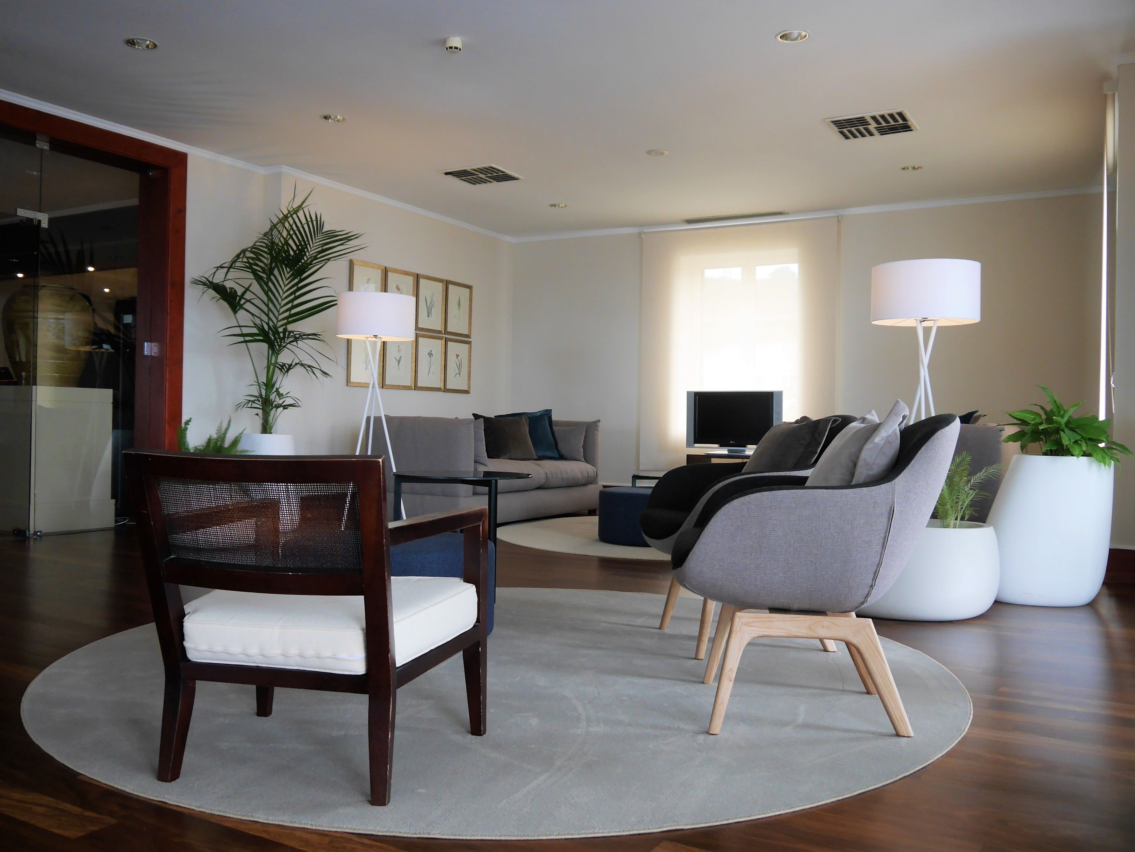 Un salon moderne comprenant un canapé, deux fauteuils, une table basse, un téléviseur et une plante en pot.