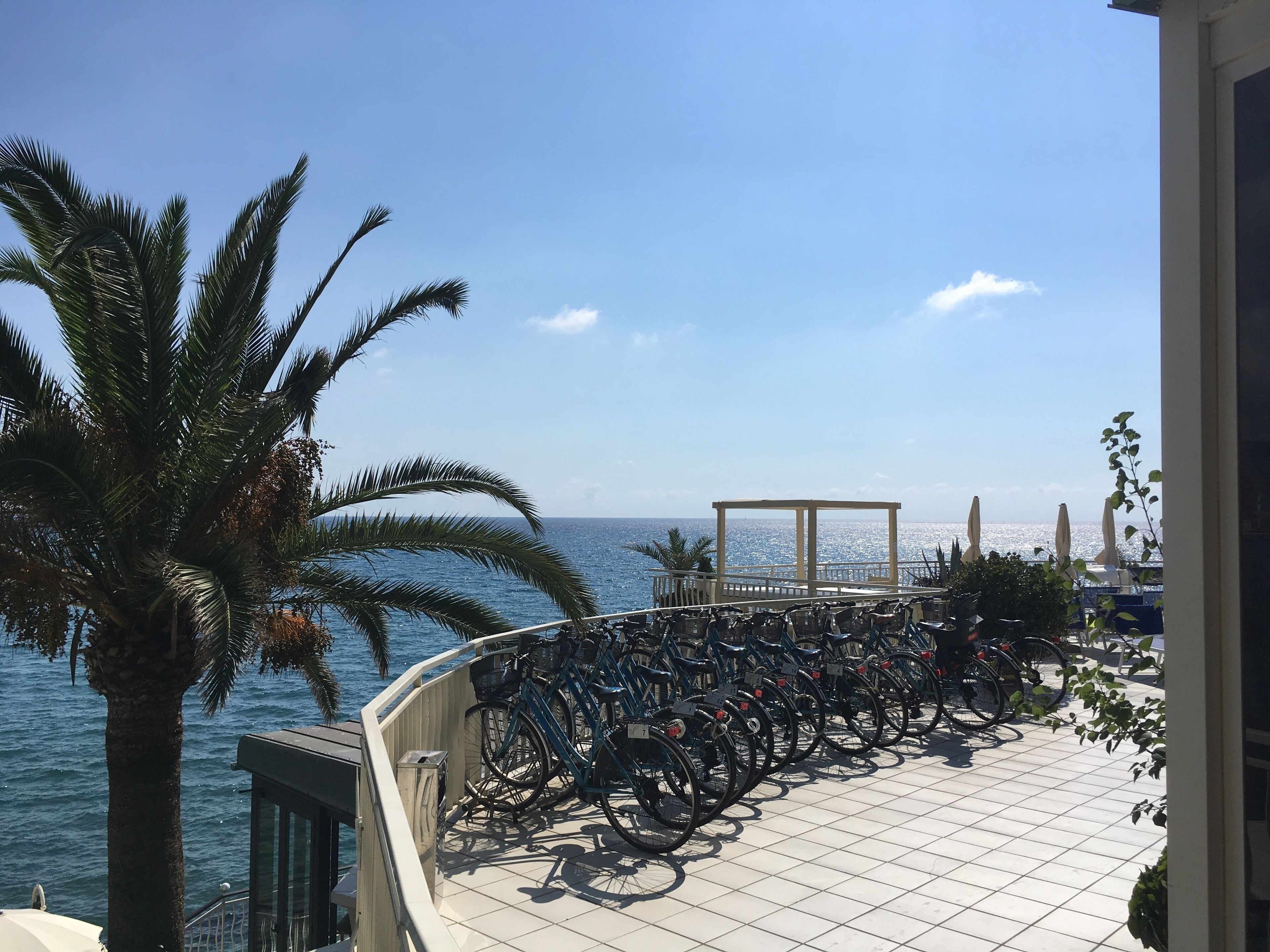 Un balcón con bicicletas, una palmera y vista al mar.