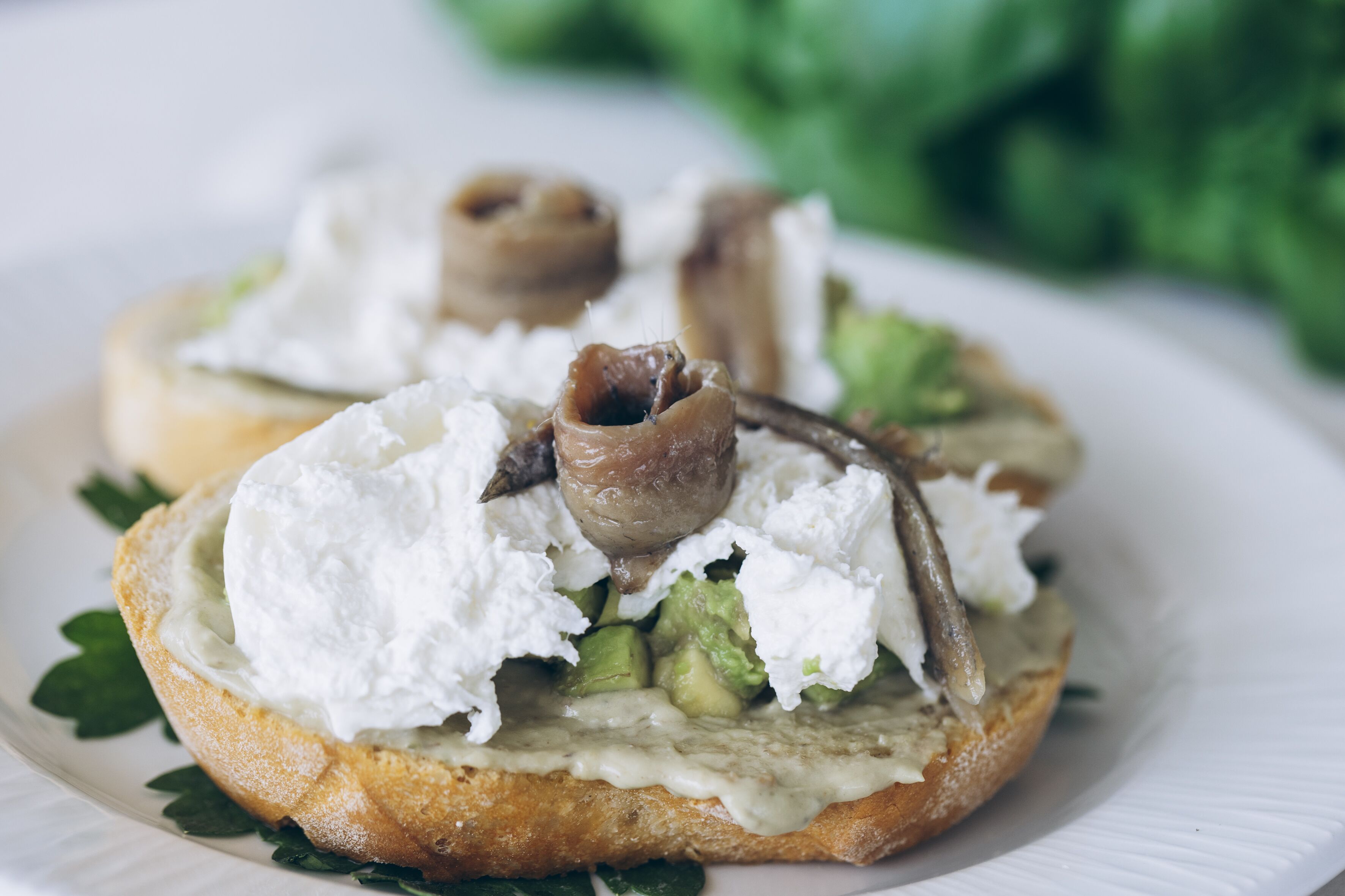 Un sándwich de aguacate y champiñones sobre un plato blanco.