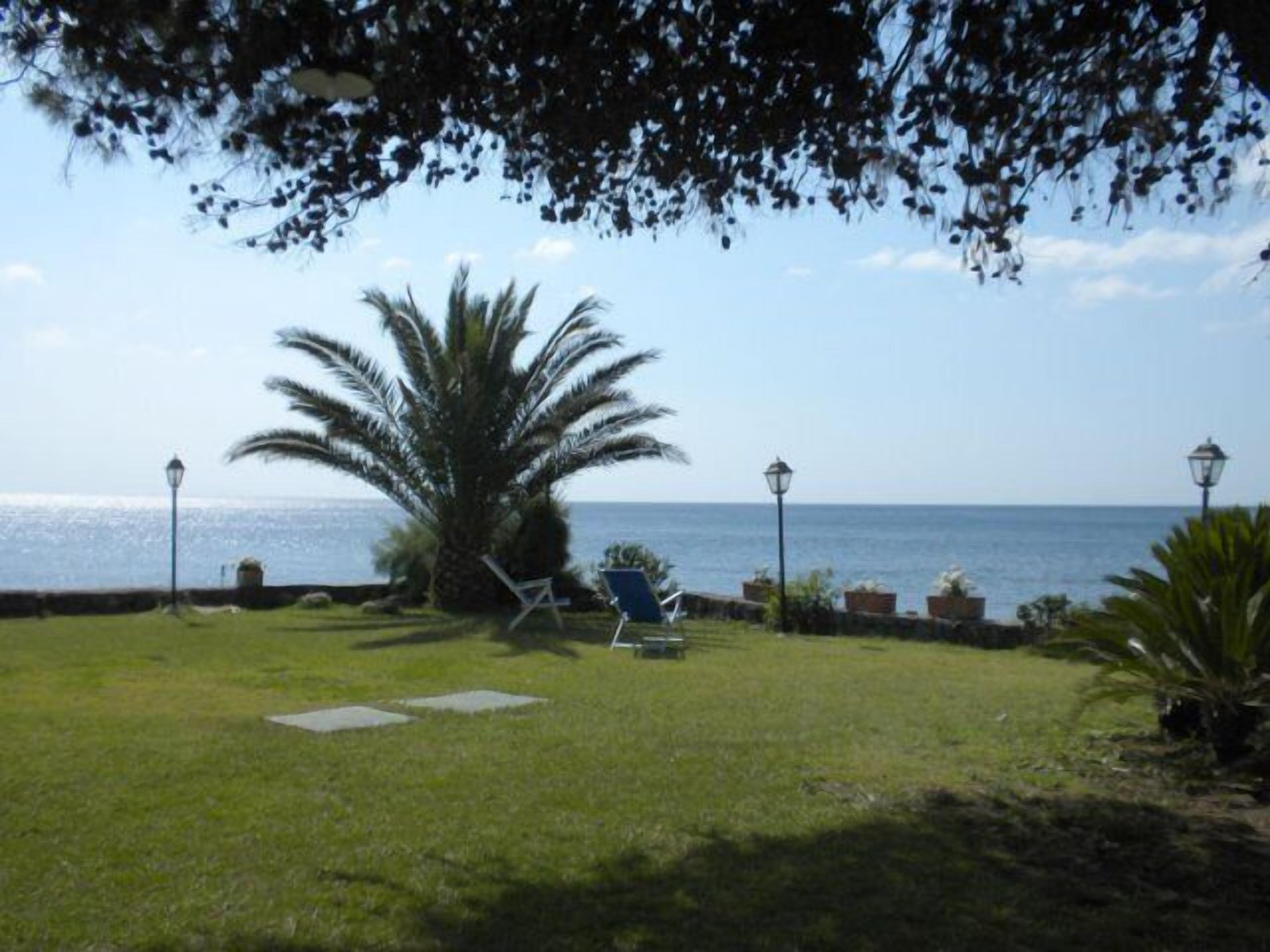 Un área con césped, una palmera, una silla y un farol.