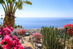 Vista desde la propiedad