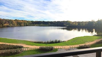 Suite | View from room