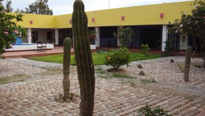 Un patio con cactus y un edificio amarillo con zona de estar cubierta.