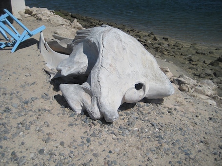 Beach. The Halfwaiy Inn