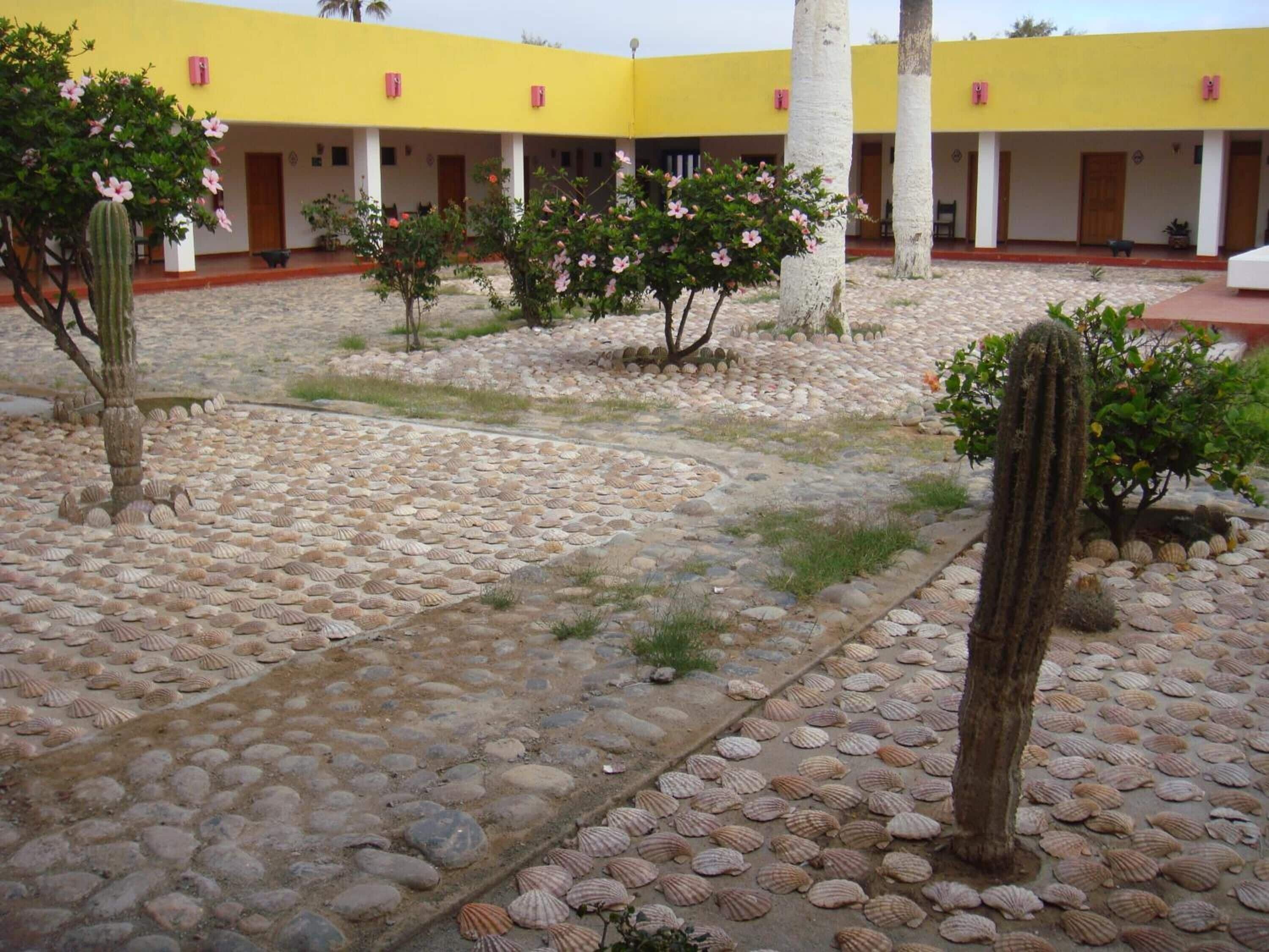 Un patio con un edificio amarillo, cactus y un camino hecho de conchas.