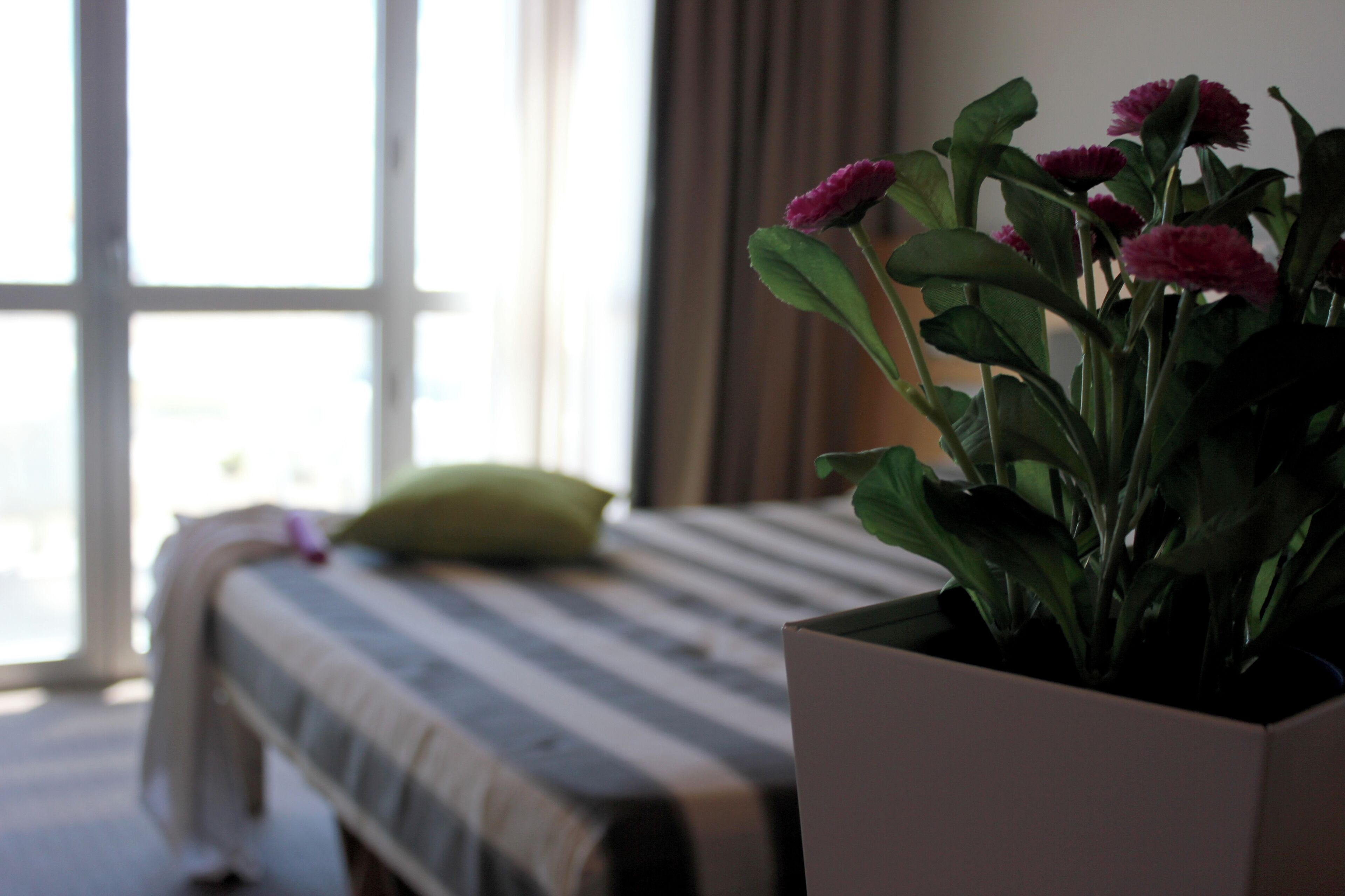 A bedroom with a bed, a window, and a potted plant with flowers.