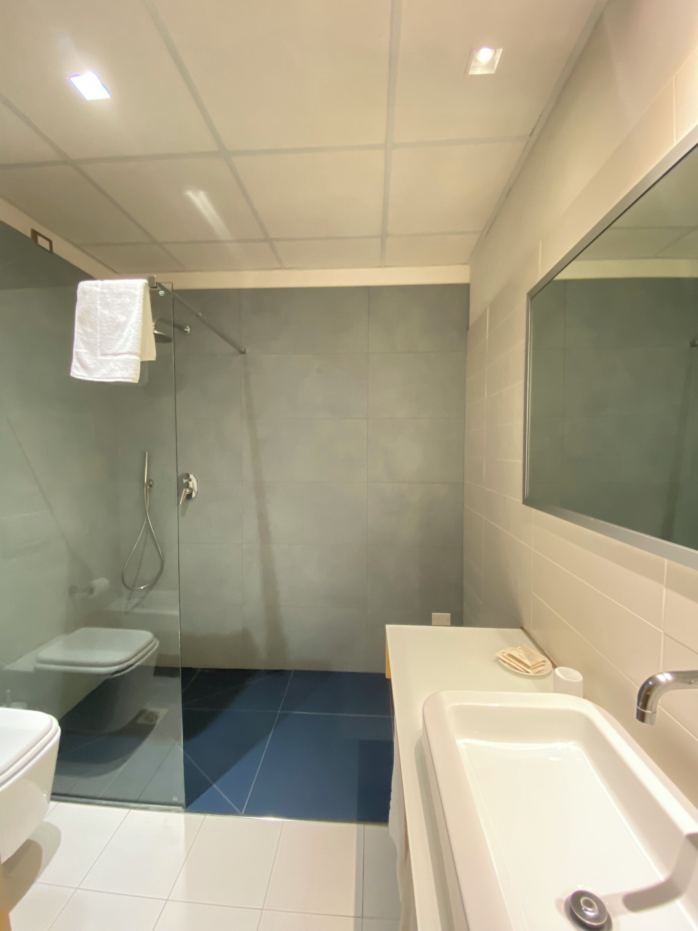 Een moderne badkamer met een glazen douchecabine, een witte badkuip en een toilet.