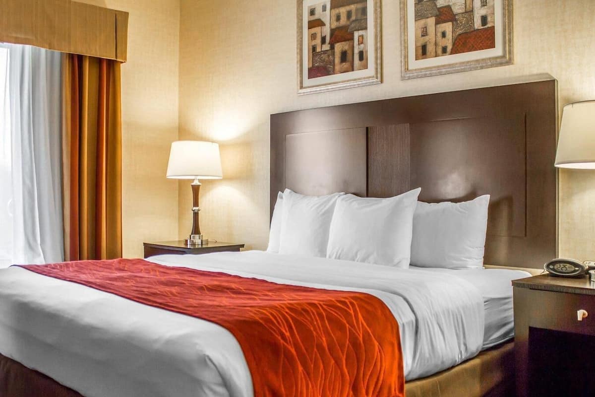A hotel room with a large bed, a nightstand with a lamp, a clock, and framed artwork on the wall.