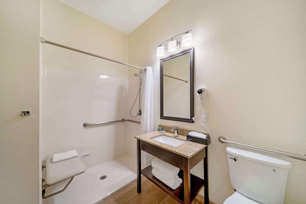 standard room, 1 king bed, accessible, refrigerator & microwave (pet friendly) | bathroom | combined shower/bathtub, free toiletries, hair dryer, towels