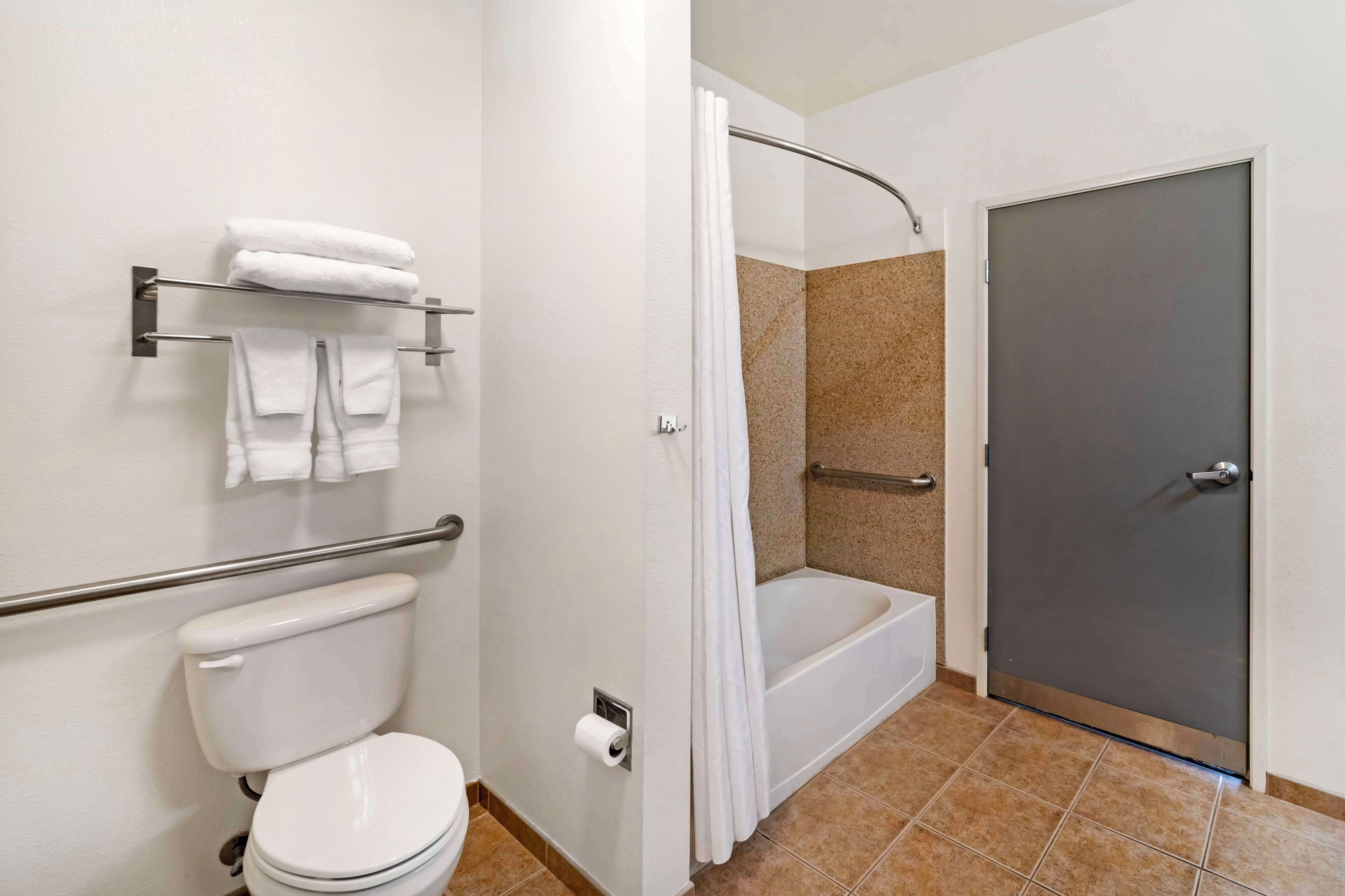 A bathroom with a toilet, a bathtub, and a shower curtain.