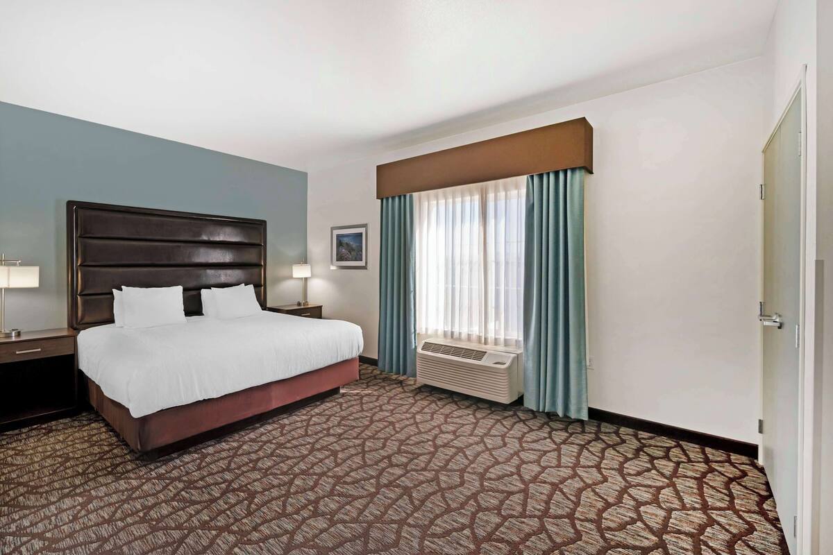 A hotel room with a large bed, a bedside table with a lamp, a window with curtains, and a patterned carpet.