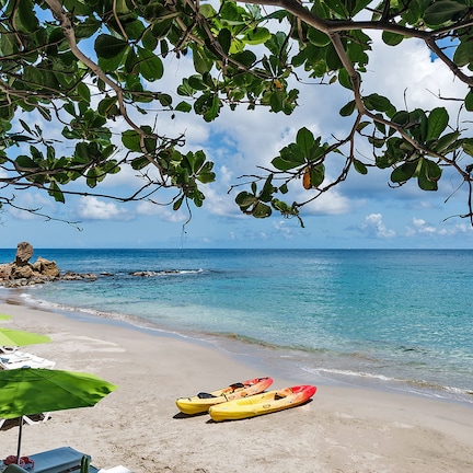 A beach with kayaks and lounge chairs under a tree.