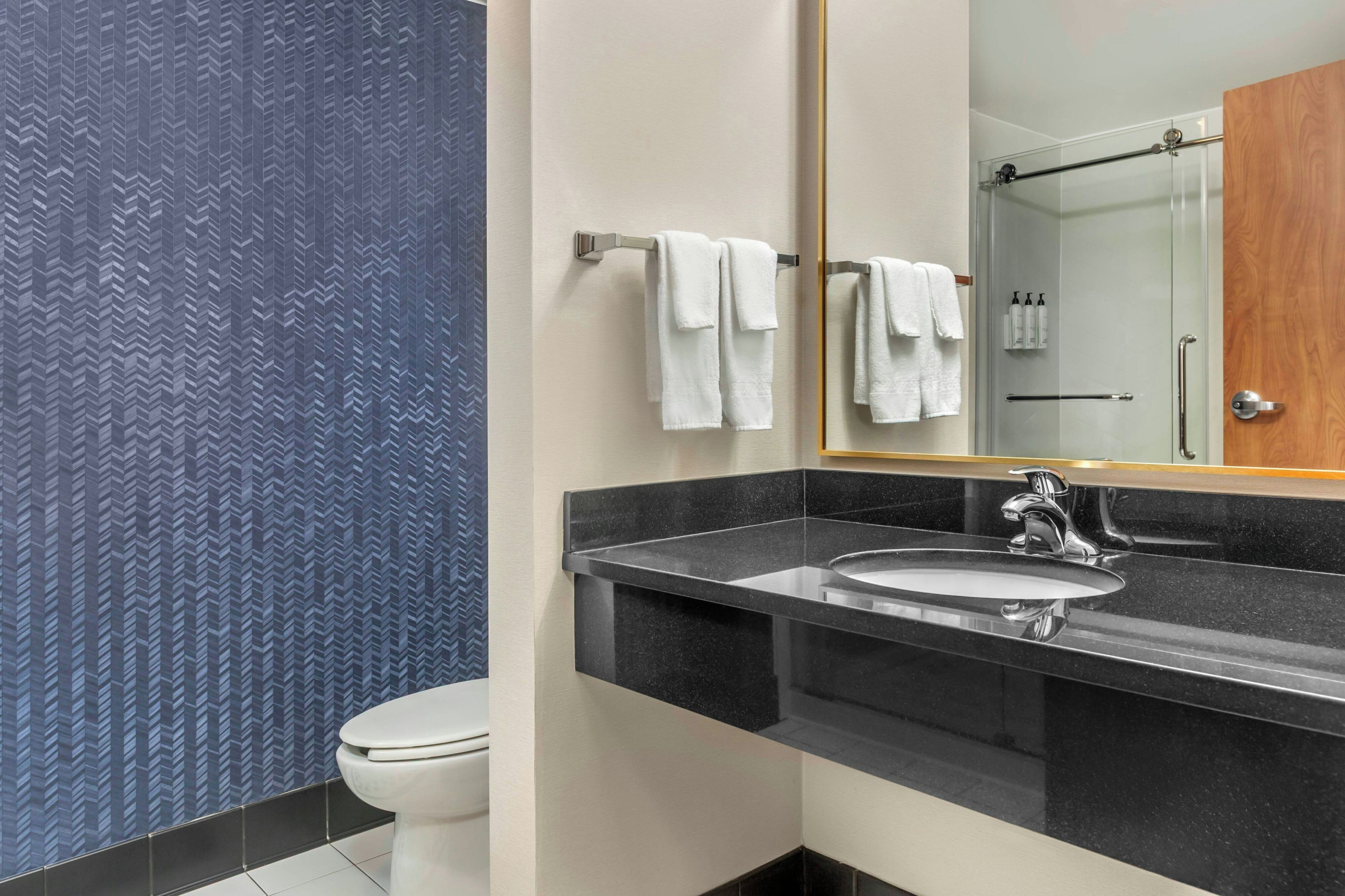 A modern bathroom with a black countertop, a white sink, and a mirror above it. There is a toilet to the left and a shower area to the right.