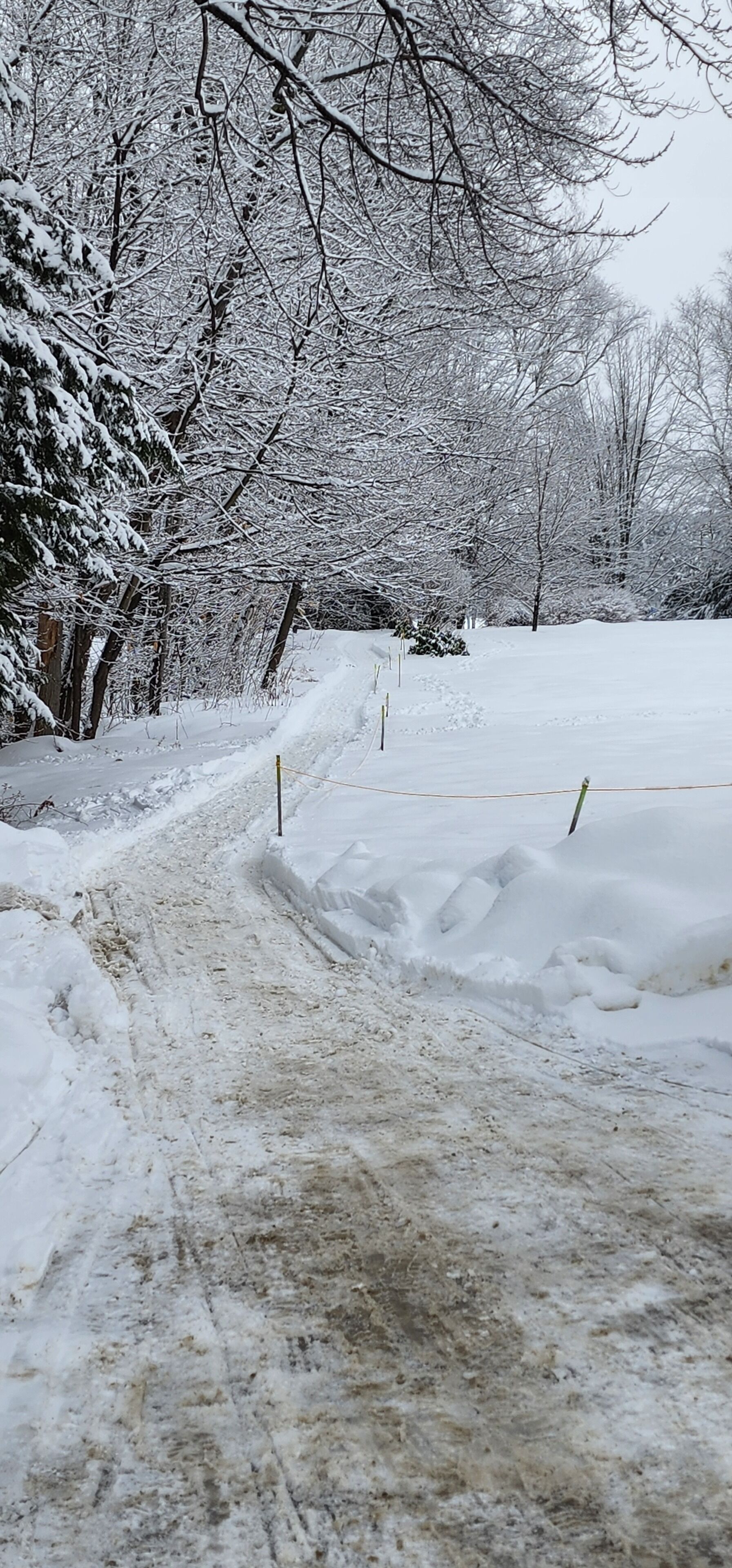 Een sneeuwbedekte pad met bomen aan weerszijden, een sneeuwduin aan de rechterkant en een hekpaal in het midden.