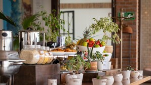 Un bufé de desayuno con diversas opciones de comida y plantas en macetas.