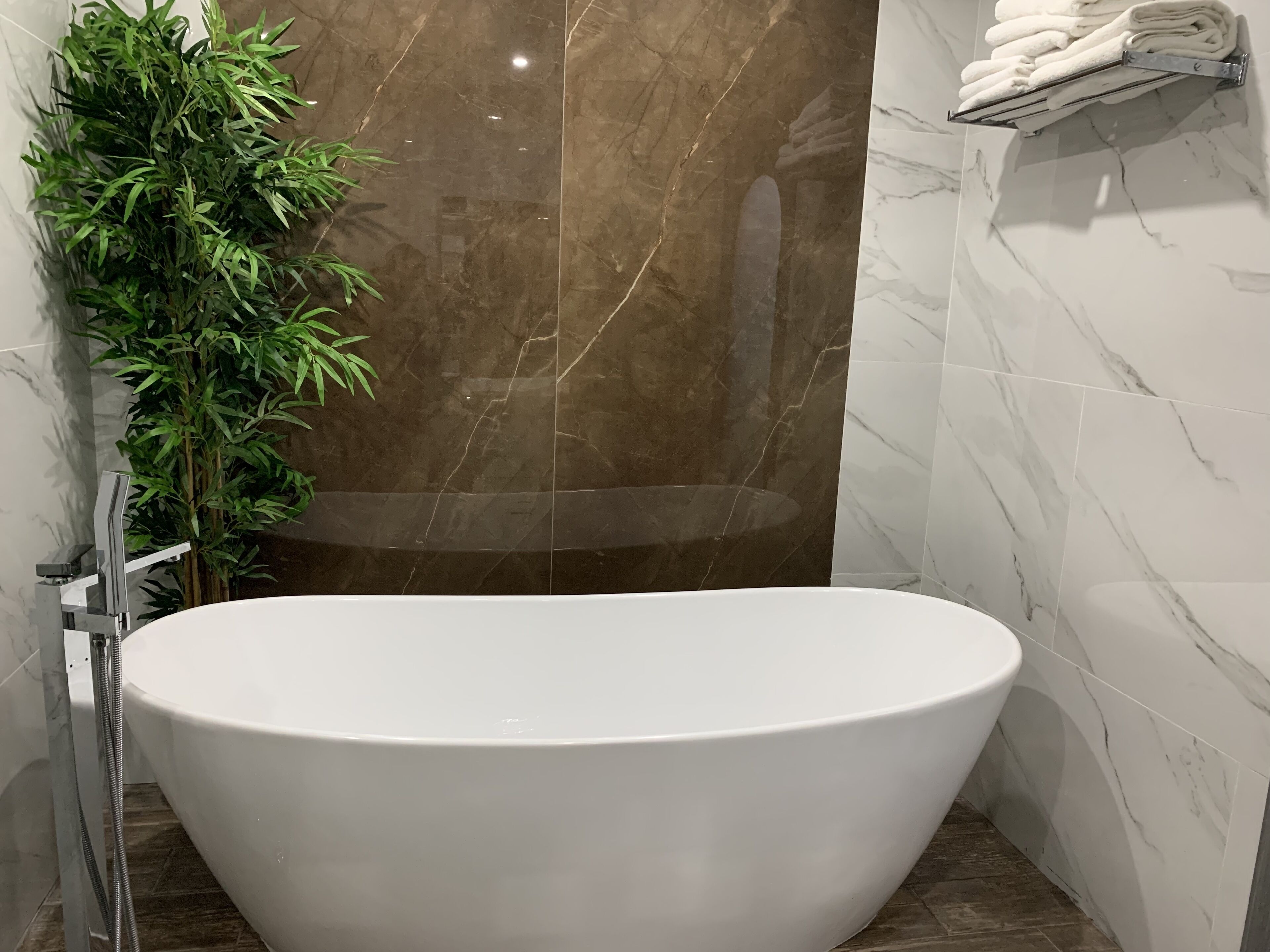 Foto - Hotel Lois Veracruz