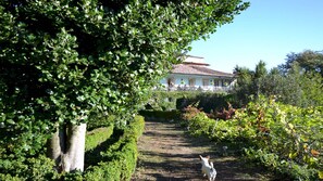 Exterior - Casa De Sezim (Guimarães)