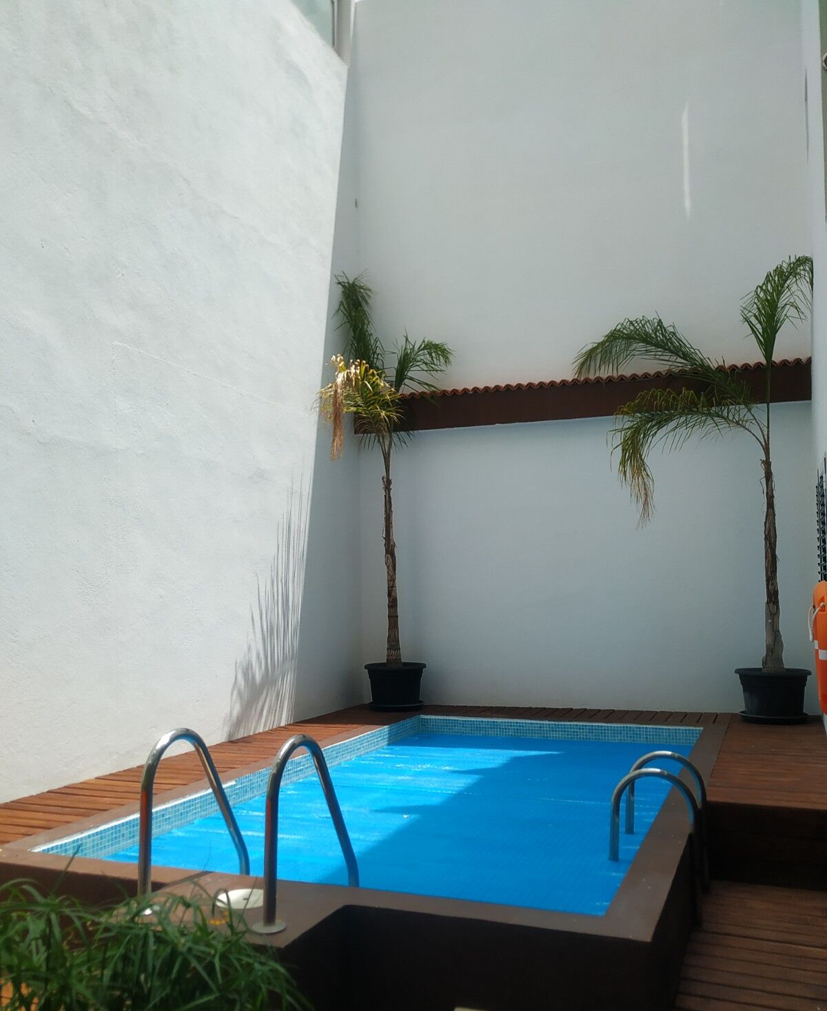 Una pequeña piscina interior con cubierta de madera, rodeada de paredes blancas y dos palmeras en macetas.
