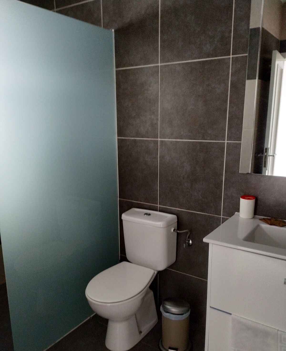Ein Badezimmer mit Toilette, Mülleimer und Waschbecken mit Spiegel darüber.