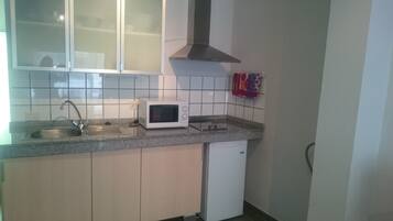 Una cocina compacta con un lavamanos, un microondas, una estufa y un lavavajillas.